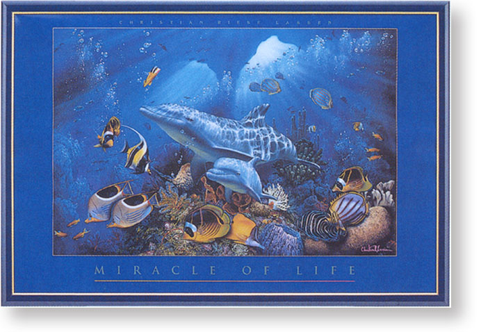 �~���N���I�u���C�t