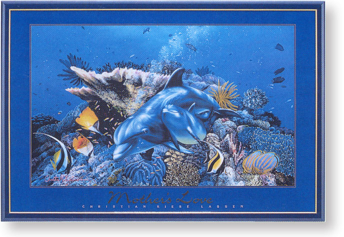 �}�U�[�Y���u